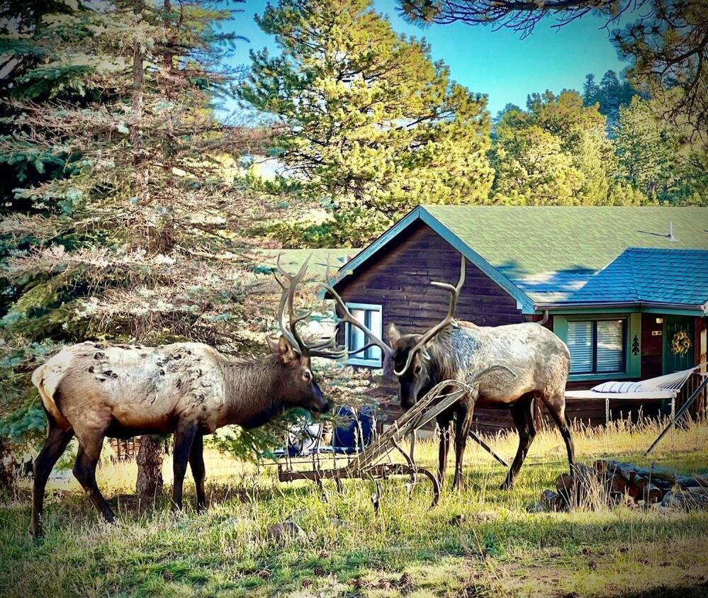 Mountain Shadows Resort Estes Park Extérieur photo