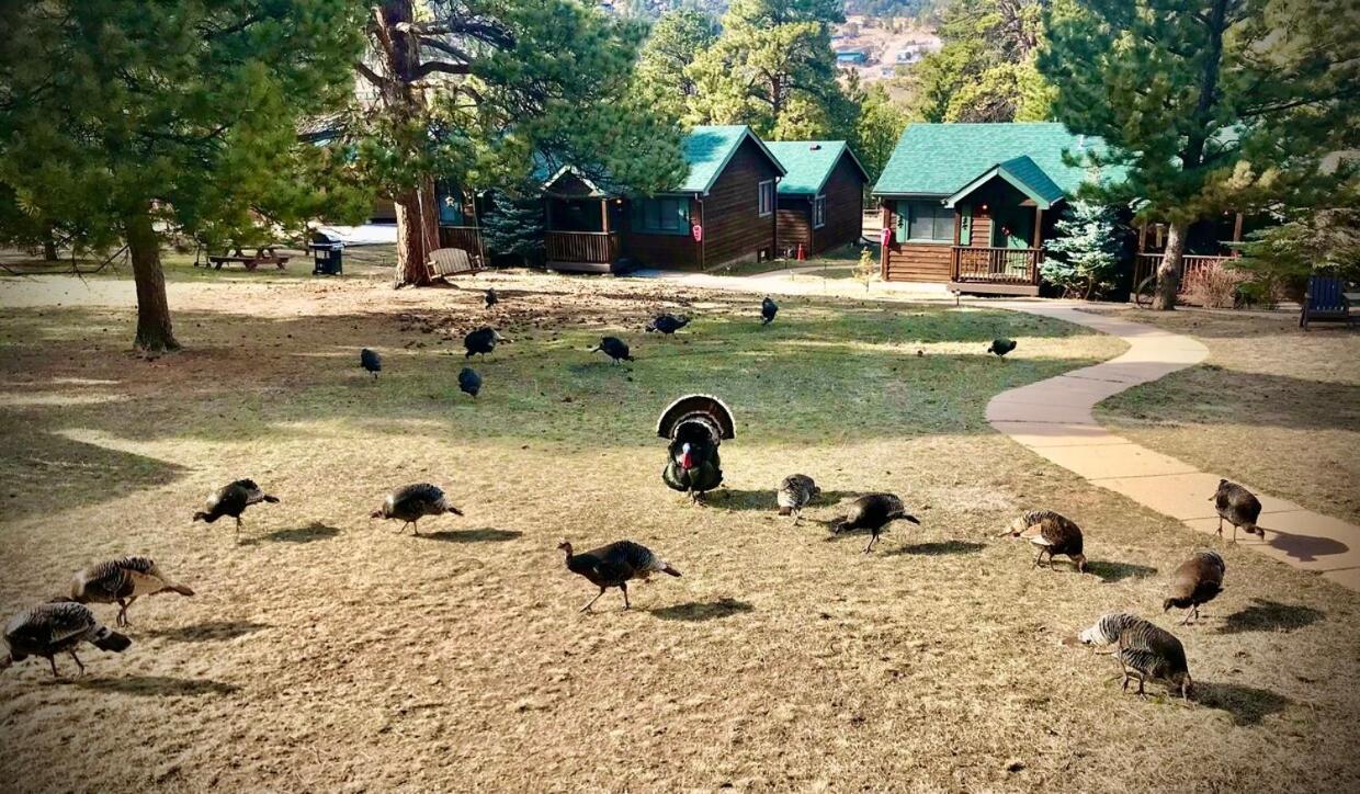 Mountain Shadows Resort Estes Park Extérieur photo