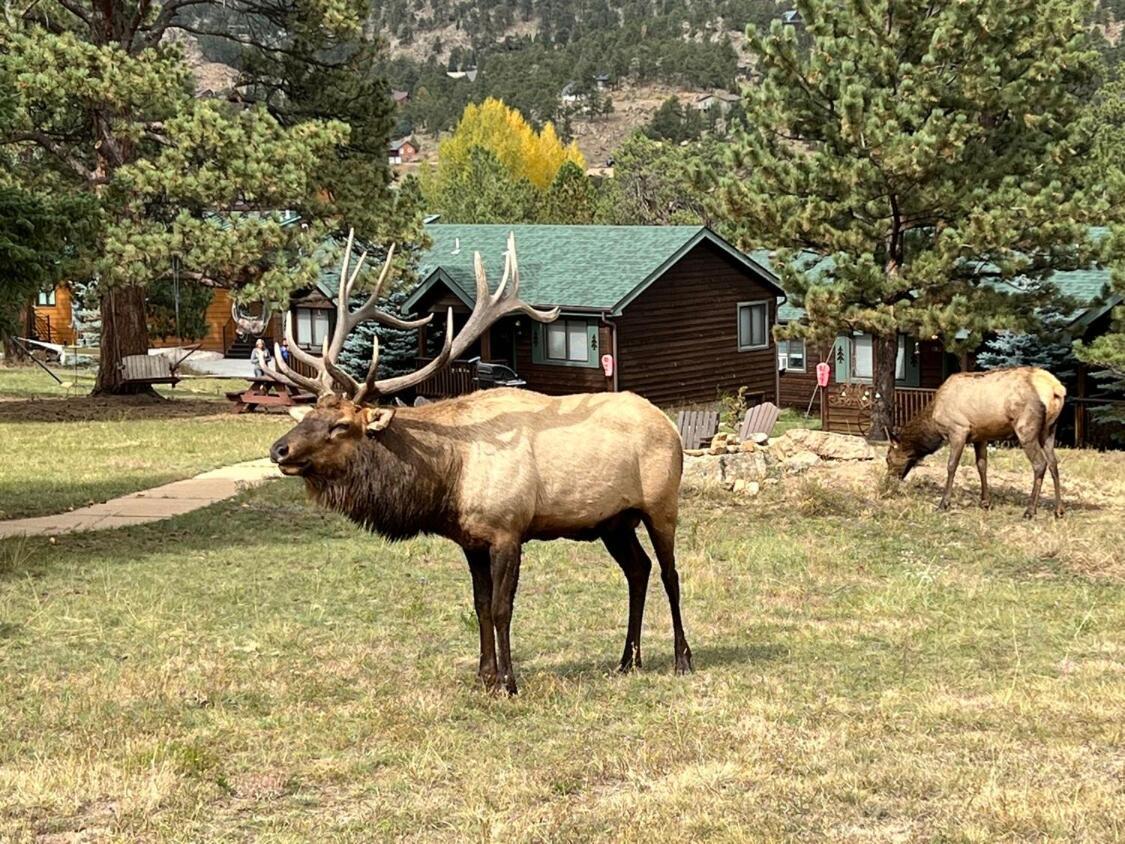 Mountain Shadows Resort Estes Park Extérieur photo