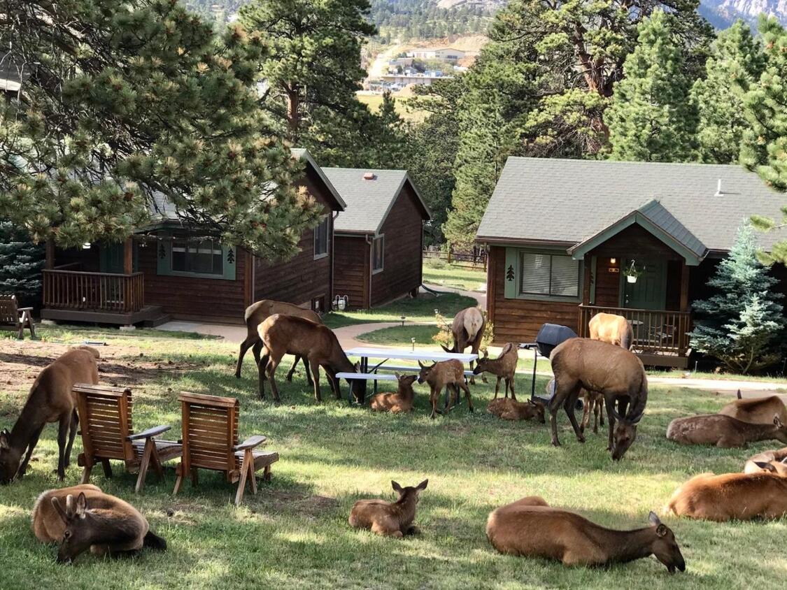 Mountain Shadows Resort Estes Park Extérieur photo