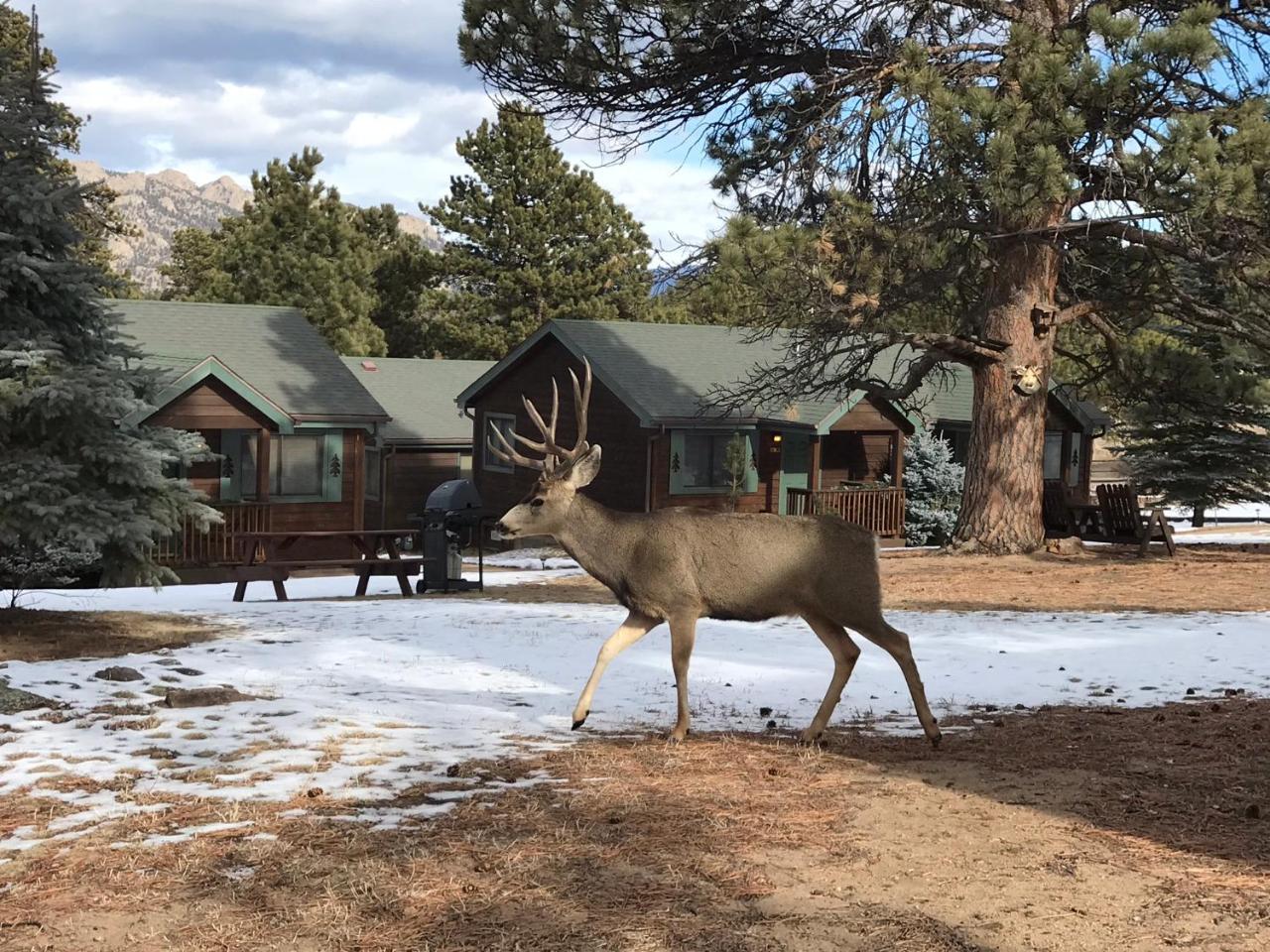 Mountain Shadows Resort Estes Park Extérieur photo