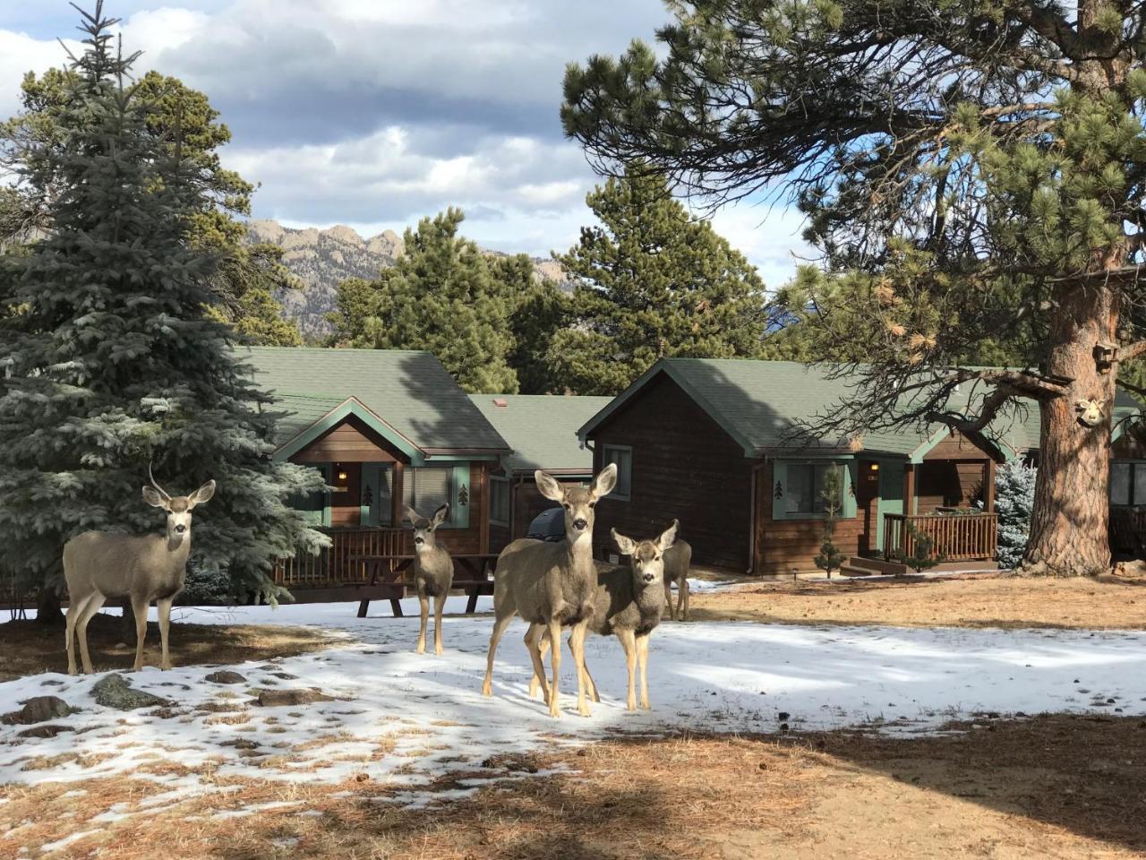 Mountain Shadows Resort Estes Park Extérieur photo